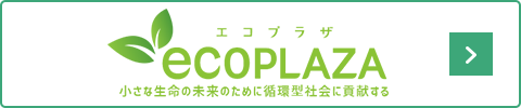 ECOPLAZA